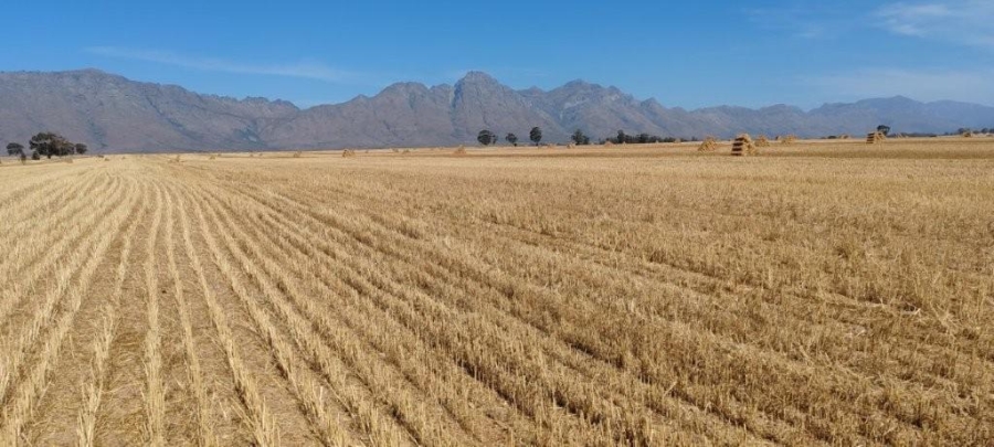 0 Bedroom Property for Sale in Hermon Western Cape